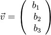 \vec v = \left ( \begin{array}{c} b_1 \\\ b_2 \\\ b_3  \end{array}\right) 