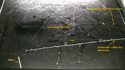 Nuclear particle in a diffusion cloud chamber.png