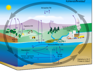Carbon cycle-cute diagram-german.png
