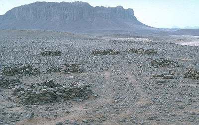 Sahara90.jpg