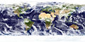 Land ocean ice cloud 2048.jpg