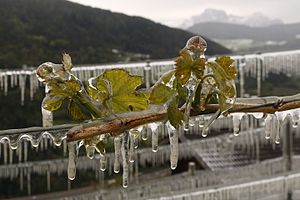Frostberegnung 2016 (30) Südtirol