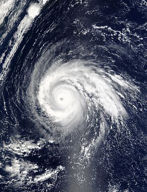 Taifun Higos.jpg