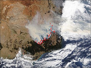 Bushfires Australia Jan 22 2003.jpg